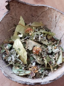 Photo de la Tisane astrologique Ophiuchus, mélange de plantes médicinales régénérantes et protectrices, en lien avec le signe du Serpentaire sidéral