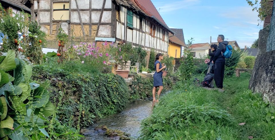 Estivales du Beau Jardin : Immersion Nature