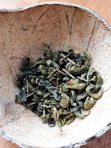 Thé vert Delphine