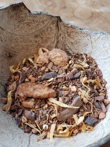Rooibos Casse-Noisette bio, mélange gourmand à la noisette, cacao et sarrasin, Gaïa Terre-Happy.
